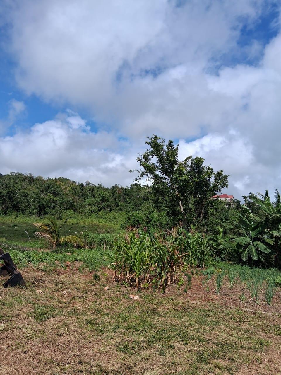Twenty-Fifth image of Malvern Chase, Southfield in Southfield, St. Elizabeth, Jamaica - property is For Sale