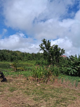 Twenty-Fifth image of Malvern Chase, Southfield in Southfield, St. Elizabeth, Jamaica - property is For Sale