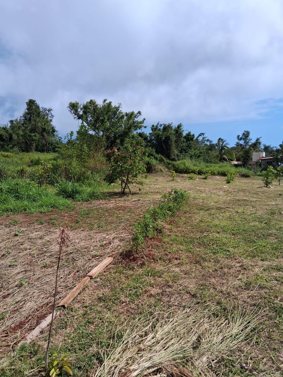 Twenty-Sixth image of Malvern Chase, Southfield in Southfield, St. Elizabeth, Jamaica - property is For Sale