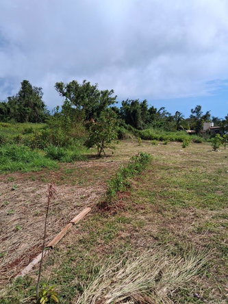 Twenty-Sixth image of Malvern Chase, Southfield in Southfield, St. Elizabeth, Jamaica - property is For Sale
