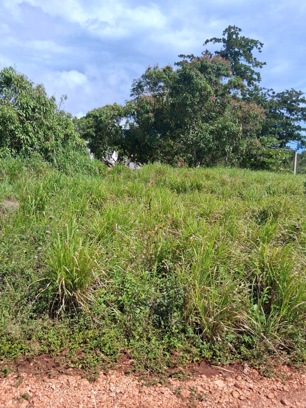 Twenty-Seventh image of Malvern Chase, Southfield in Southfield, St. Elizabeth, Jamaica - property is For Sale