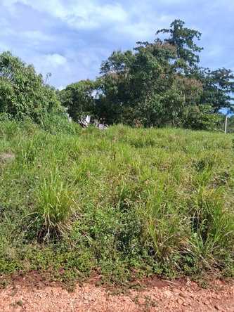 Twenty-Seventh image of Malvern Chase, Southfield in Southfield, St. Elizabeth, Jamaica - property is For Sale