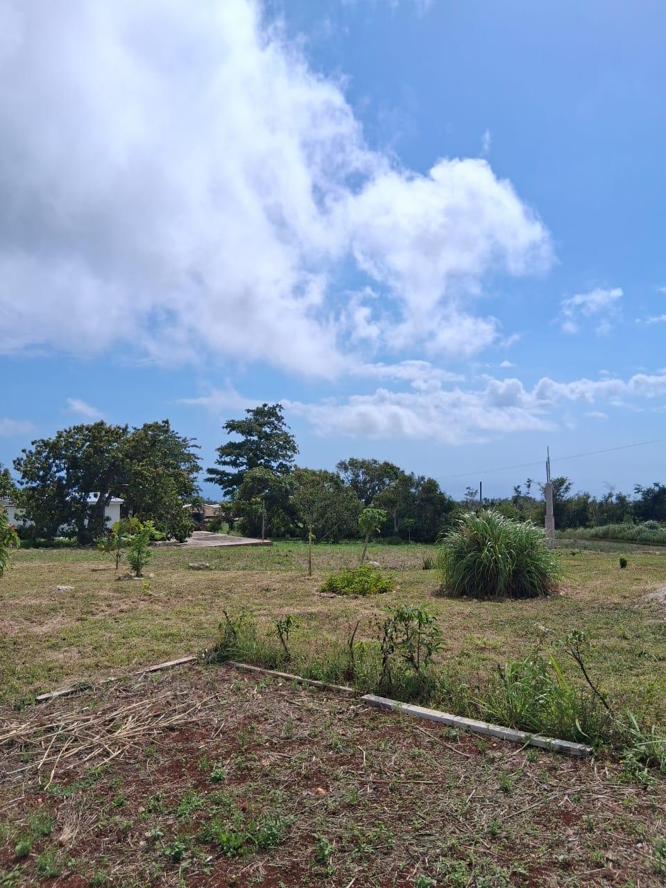 Twenty-Eighth image of Malvern Chase, Southfield in Southfield, St. Elizabeth, Jamaica - property is For Sale