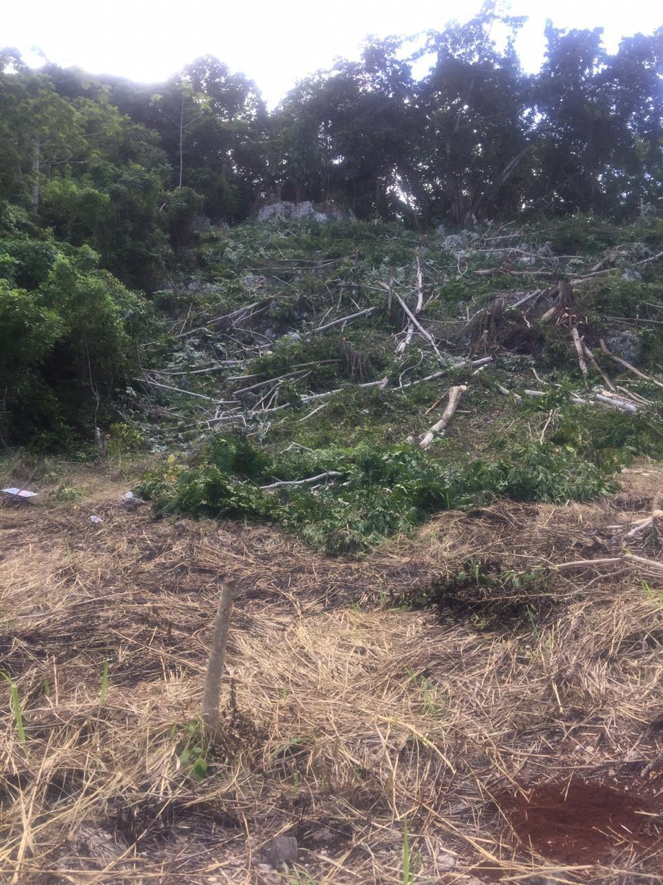 First image of 26 Forest Glade, Ocean Boule in Rio Nuevo, St. Mary, Jamaica - property is For Sale