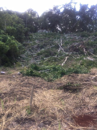 First image of 26 Forest Glade, Ocean Boule in Rio Nuevo, St. Mary, Jamaica - property is For Sale