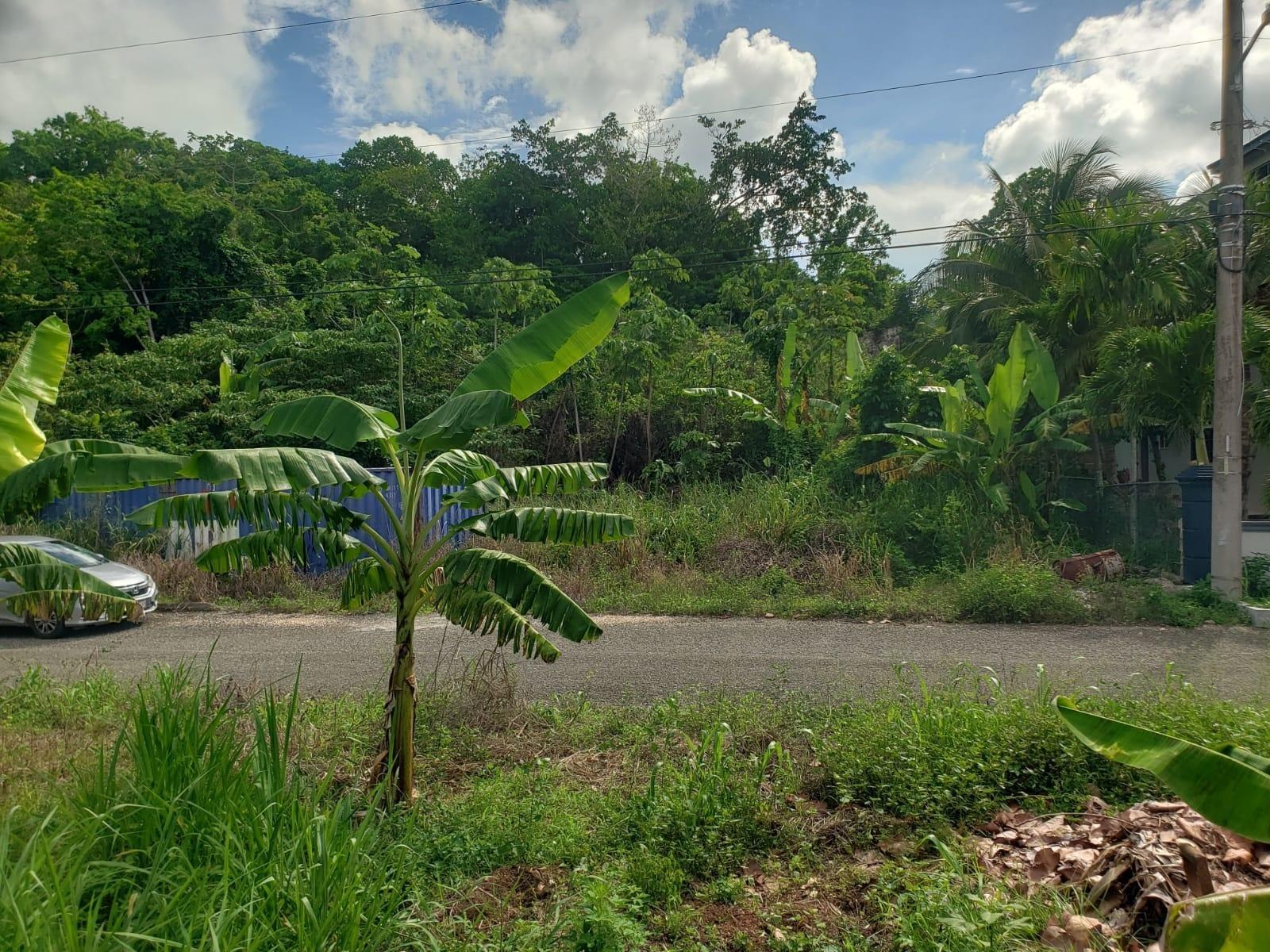 Tenth image of 26 Forest Glade, Ocean Boule in Rio Nuevo, St. Mary, Jamaica - property is For Sale