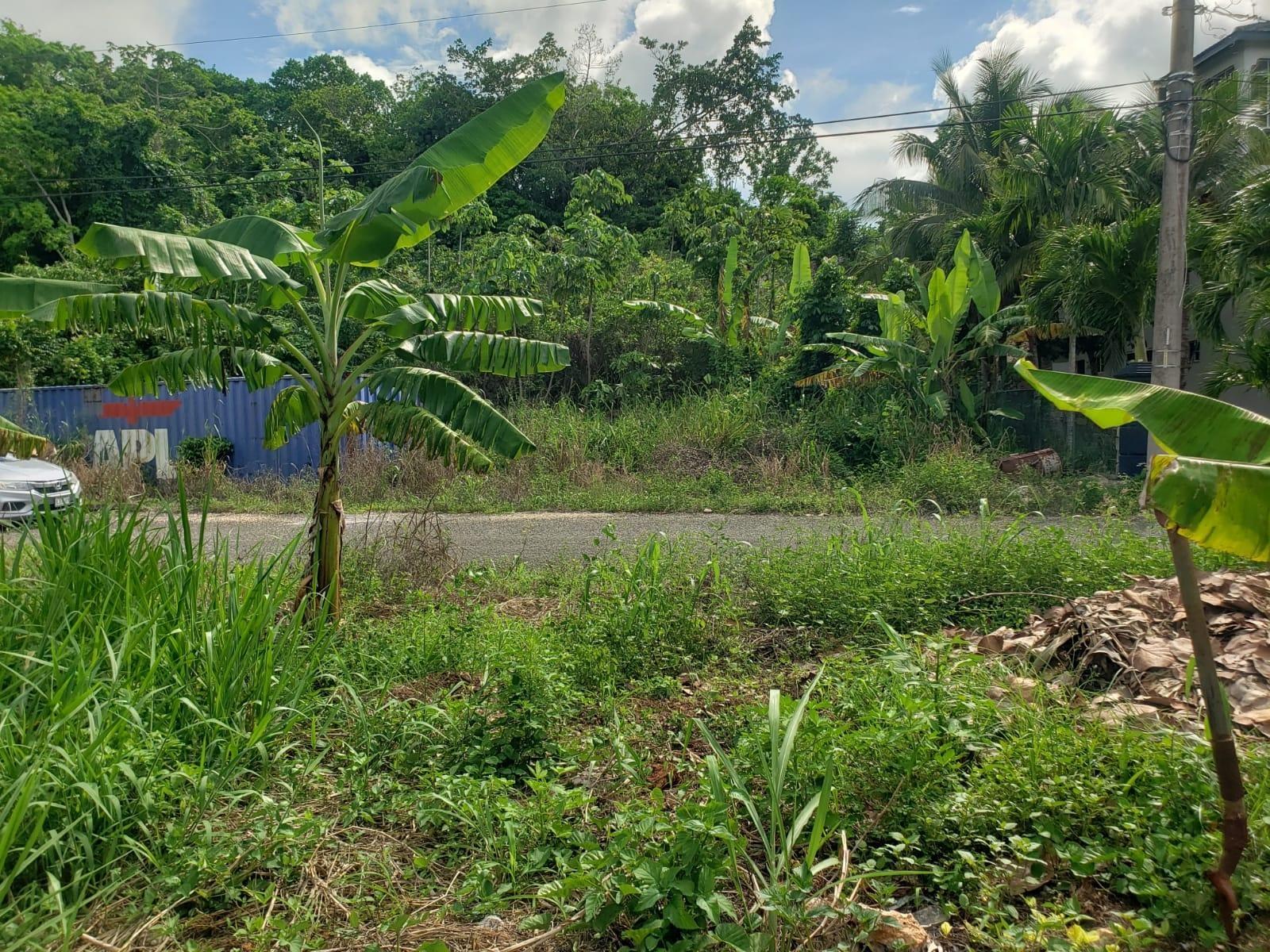 Eleventh image of 26 Forest Glade, Ocean Boule in Rio Nuevo, St. Mary, Jamaica - property is For Sale
