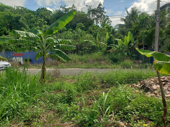 Eleventh image of 26 Forest Glade, Ocean Boule in Rio Nuevo, St. Mary, Jamaica - property is For Sale