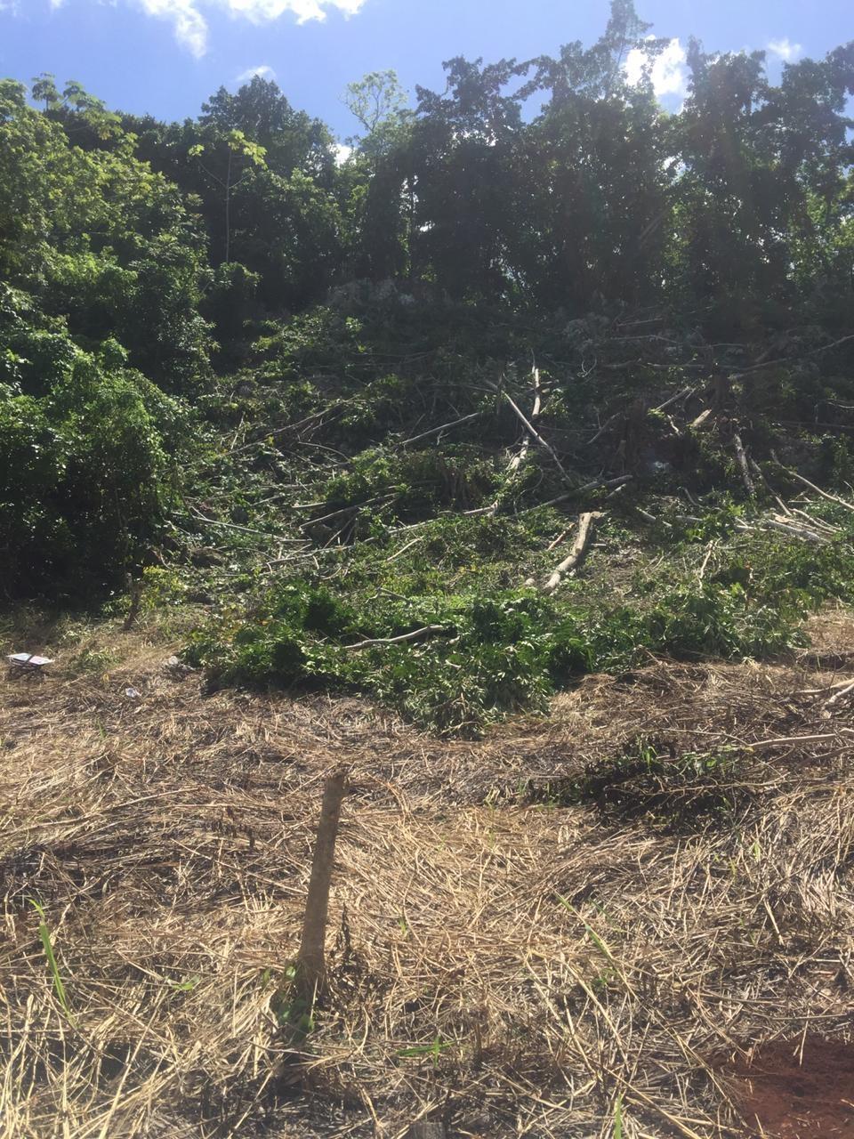 Fourth image of 26 Forest Glade, Ocean Boule in Rio Nuevo, St. Mary, Jamaica - property is For Sale