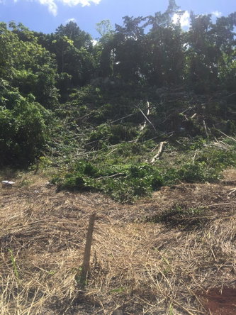 Fourth image of 26 Forest Glade, Ocean Boule in Rio Nuevo, St. Mary, Jamaica - property is For Sale
