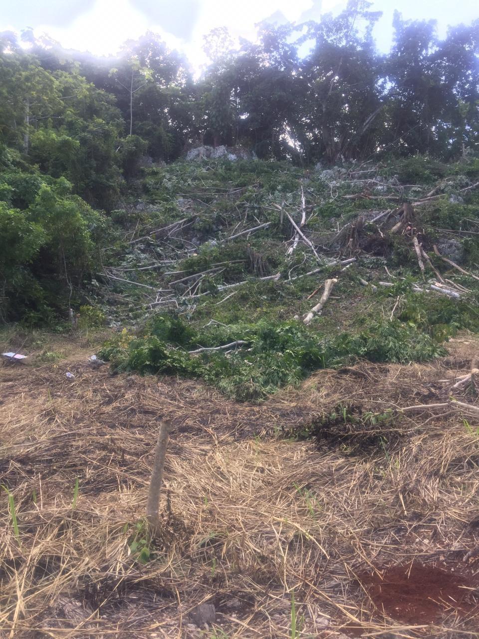 Fifth image of 26 Forest Glade, Ocean Boule in Rio Nuevo, St. Mary, Jamaica - property is For Sale