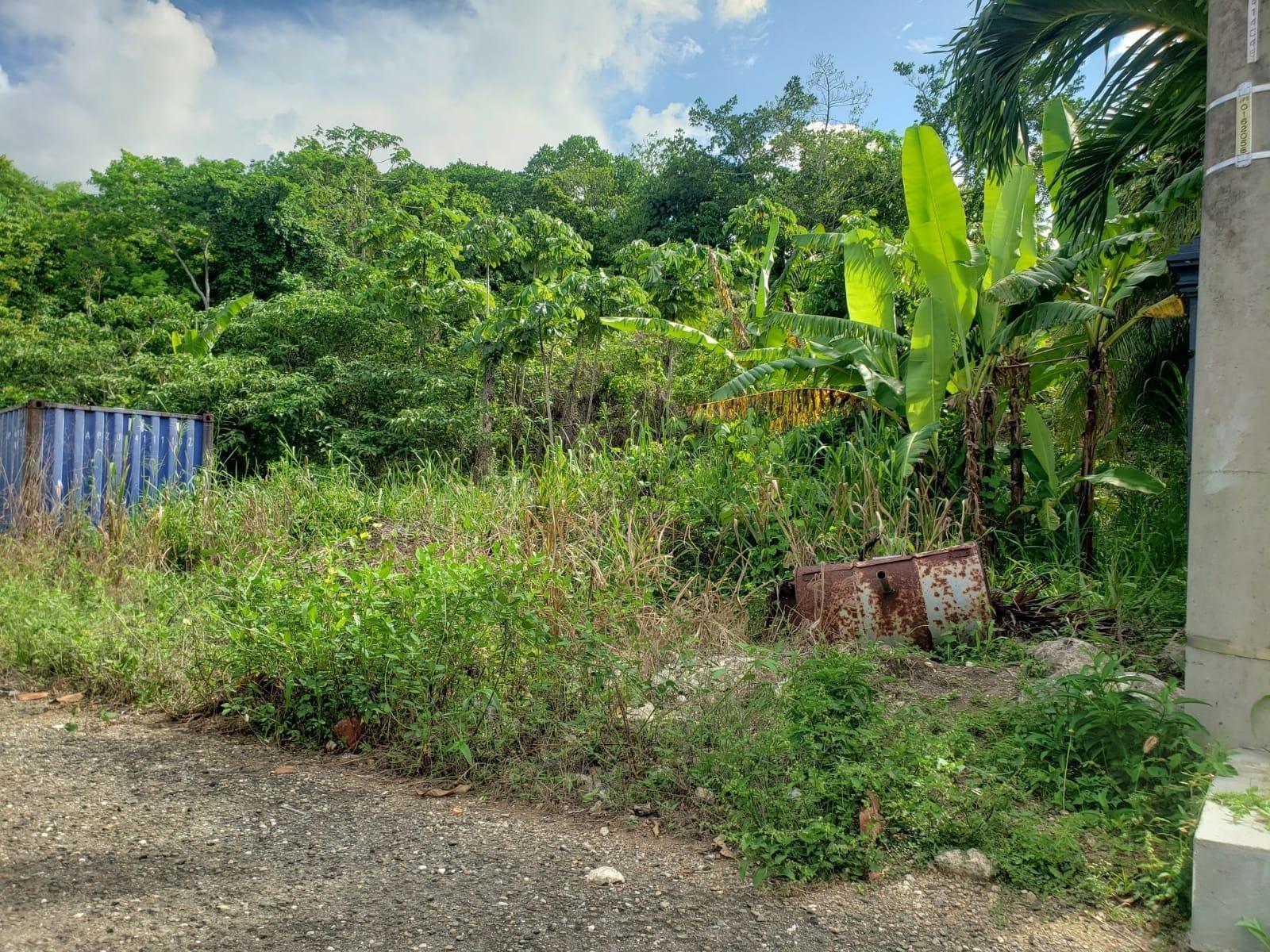 Sixth image of 26 Forest Glade, Ocean Boule in Rio Nuevo, St. Mary, Jamaica - property is For Sale