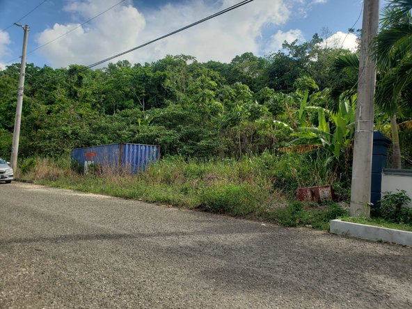 Seventh image of 26 Forest Glade, Ocean Boule in Rio Nuevo, St. Mary, Jamaica - property is For Sale