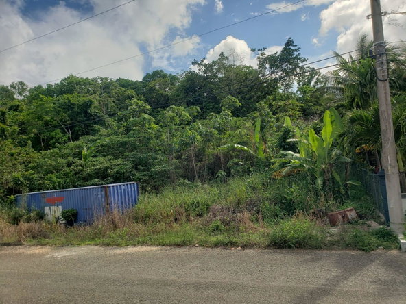 Eighth image of 26 Forest Glade, Ocean Boule in Rio Nuevo, St. Mary, Jamaica - property is For Sale