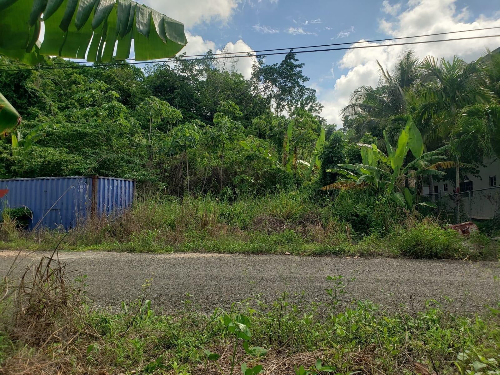 Ninth image of 26 Forest Glade, Ocean Boule in Rio Nuevo, St. Mary, Jamaica - property is For Sale
