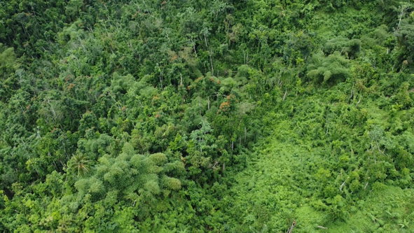Tenth image of 27c Fort George in Annotto Bay, St. Mary, Jamaica - property is For Sale