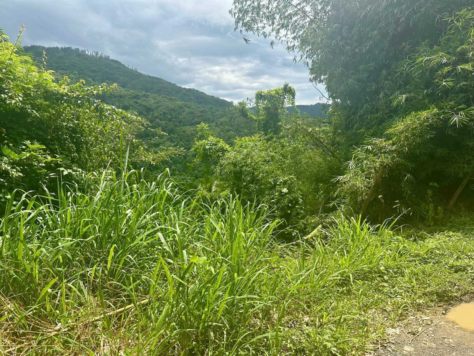 Eleventh image of 27c Fort George in Annotto Bay, St. Mary, Jamaica - property is For Sale