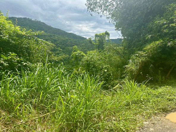 Eleventh image of 27c Fort George in Annotto Bay, St. Mary, Jamaica - property is For Sale