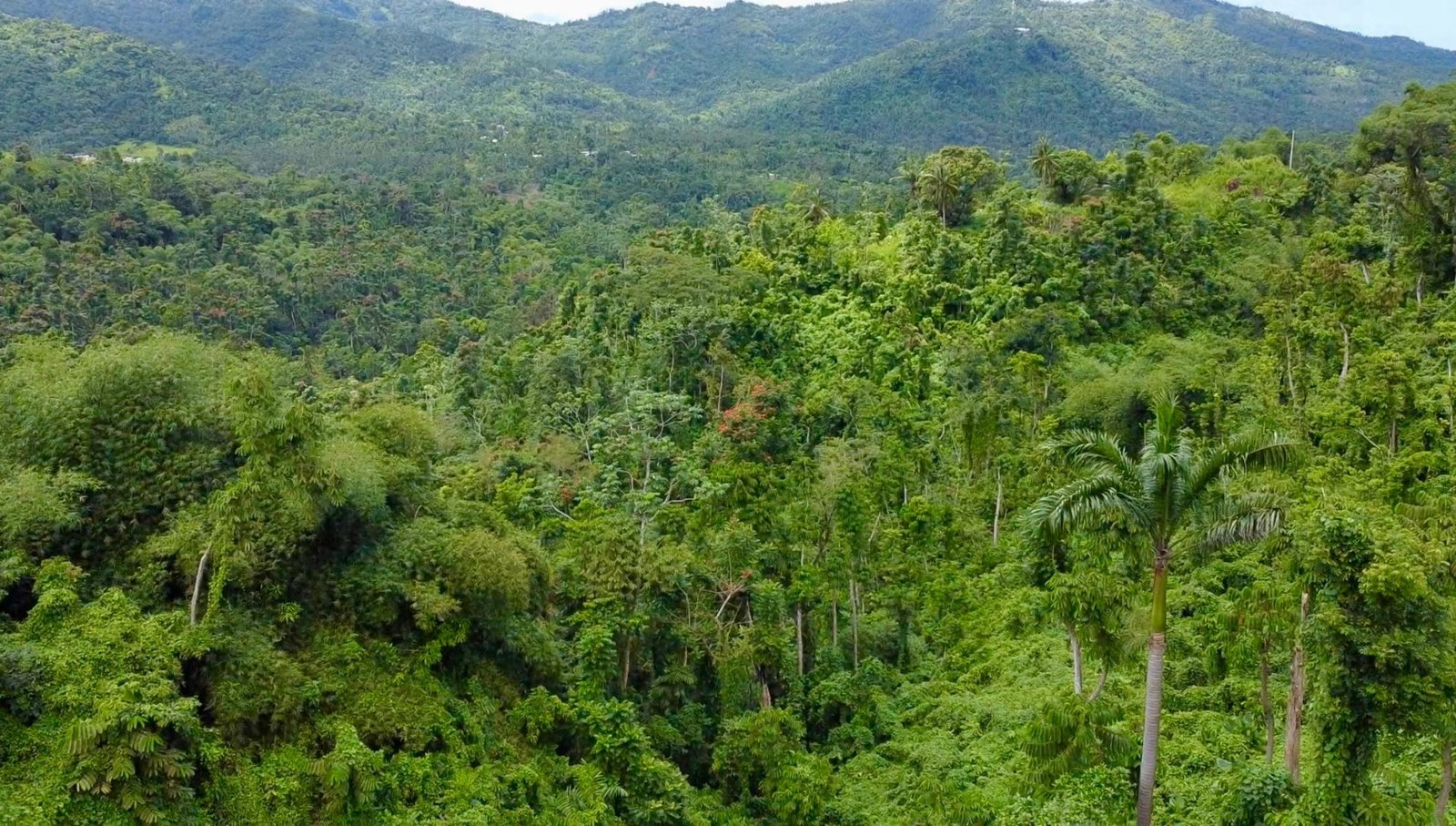 Thirteenth image of 27c Fort George in Annotto Bay, St. Mary, Jamaica - property is For Sale