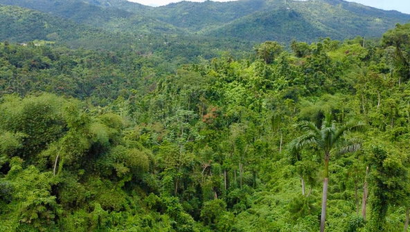 Thirteenth image of 27c Fort George in Annotto Bay, St. Mary, Jamaica - property is For Sale