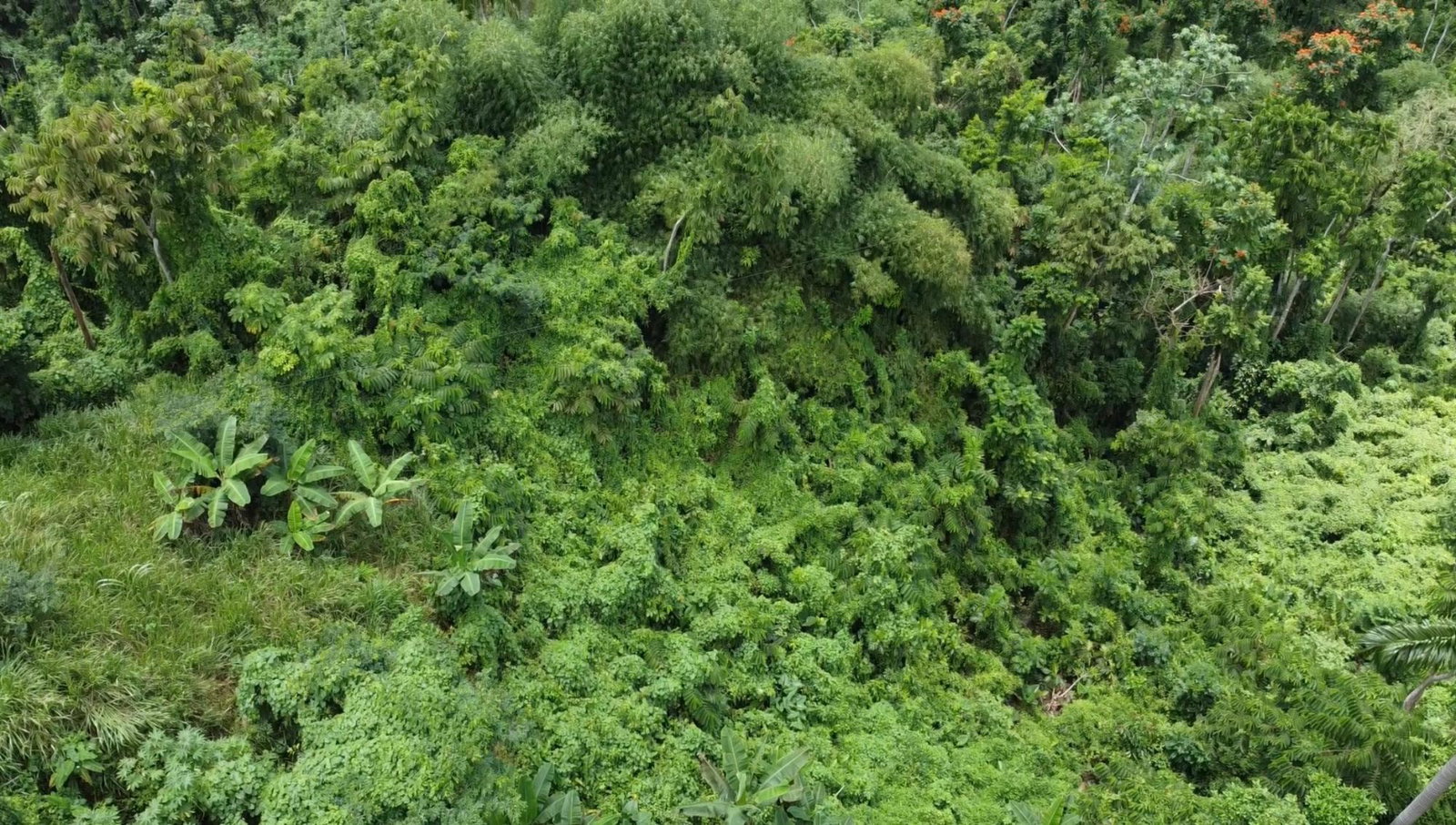 Fifteenth image of 27c Fort George in Annotto Bay, St. Mary, Jamaica - property is For Sale