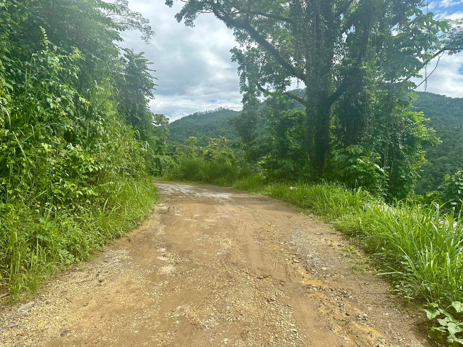 Eighteenth image of 27c Fort George in Annotto Bay, St. Mary, Jamaica - property is For Sale