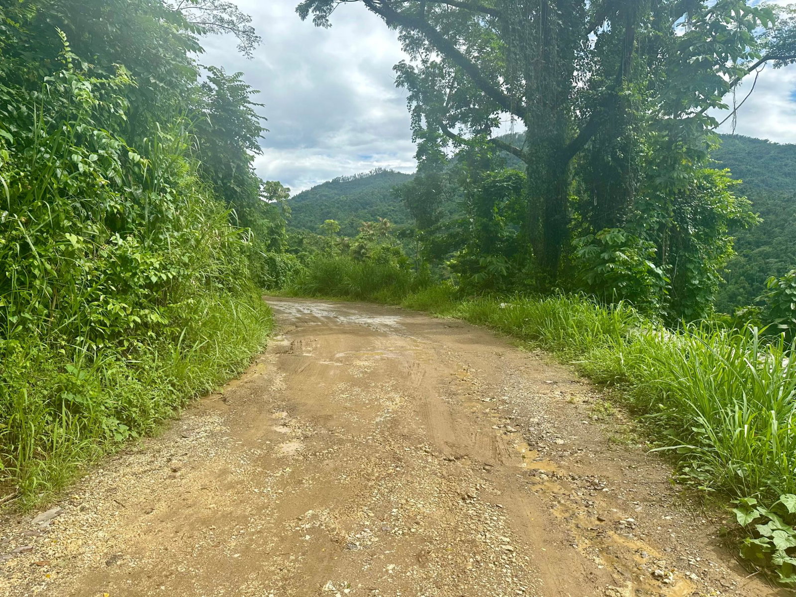 Nineteenth image of 27c Fort George in Annotto Bay, St. Mary, Jamaica - property is For Sale