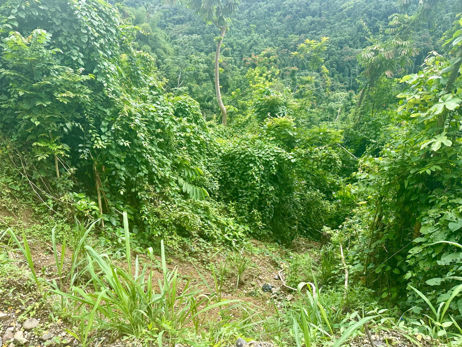 Twenty-Second image of 27c Fort George in Annotto Bay, St. Mary, Jamaica - property is For Sale