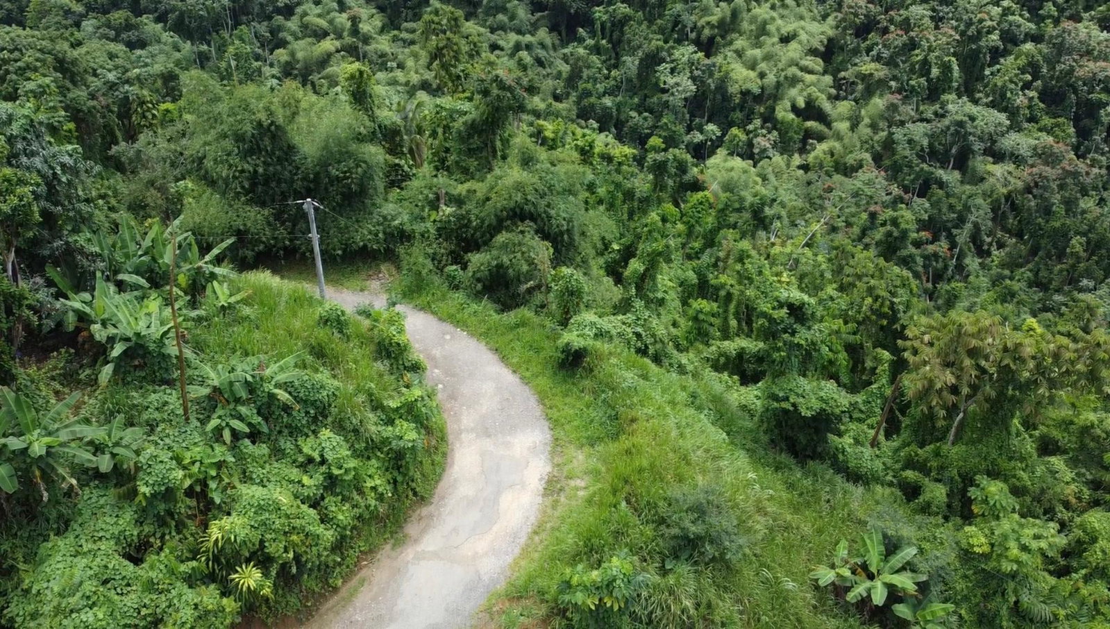 Twenty-Fifth image of 27c Fort George in Annotto Bay, St. Mary, Jamaica - property is For Sale