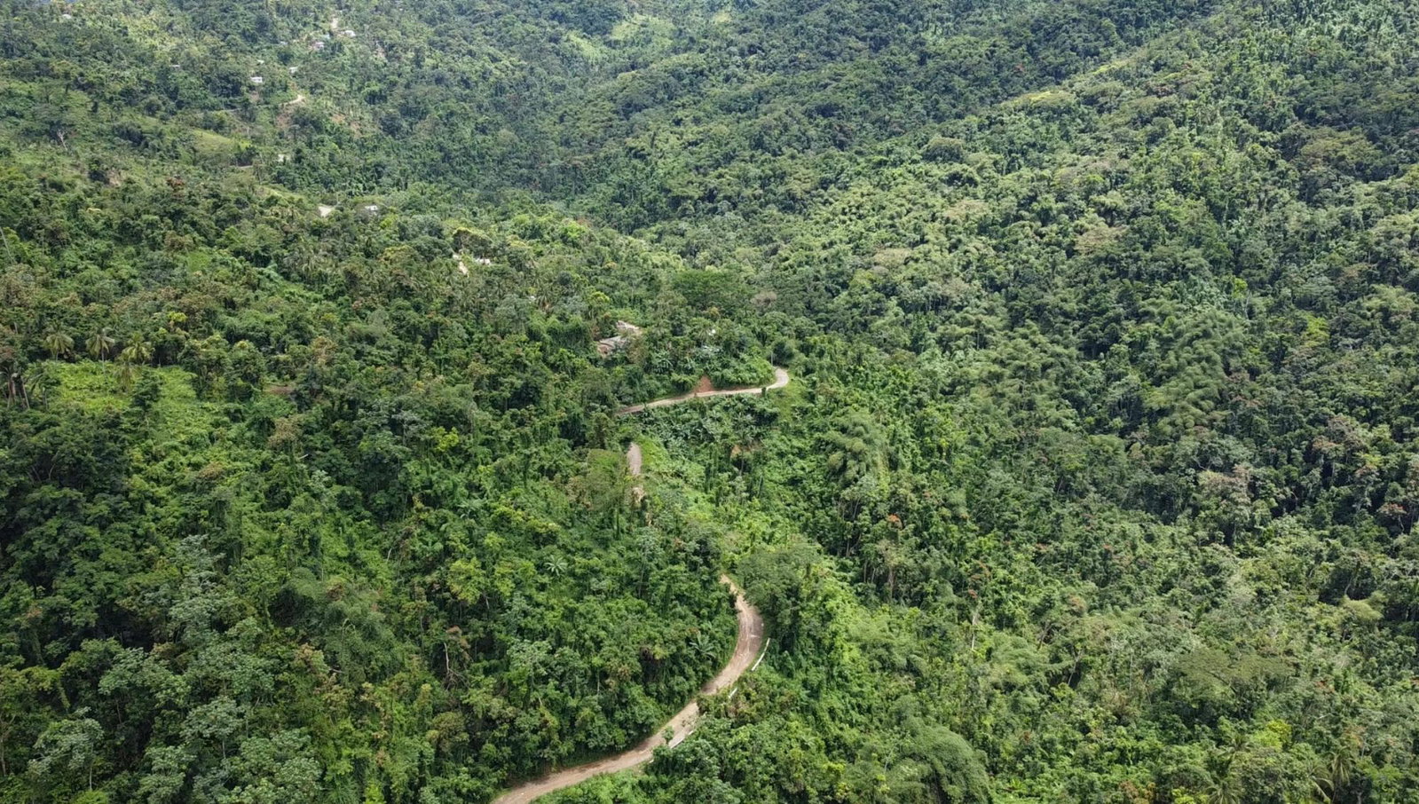 Twenty-Eighth image of 27c Fort George in Annotto Bay, St. Mary, Jamaica - property is For Sale