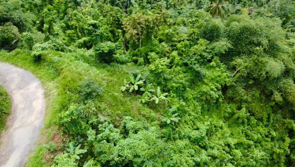 Fourth image of 27c Fort George in Annotto Bay, St. Mary, Jamaica - property is For Sale