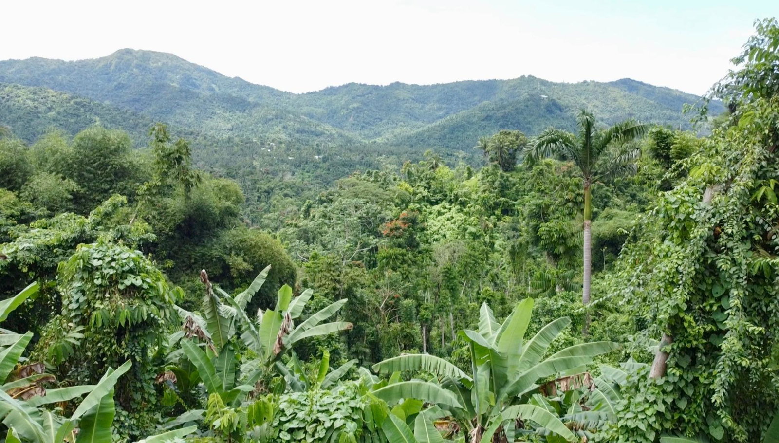 Seventh image of 27c Fort George in Annotto Bay, St. Mary, Jamaica - property is For Sale