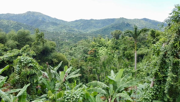 Seventh image of 27c Fort George in Annotto Bay, St. Mary, Jamaica - property is For Sale