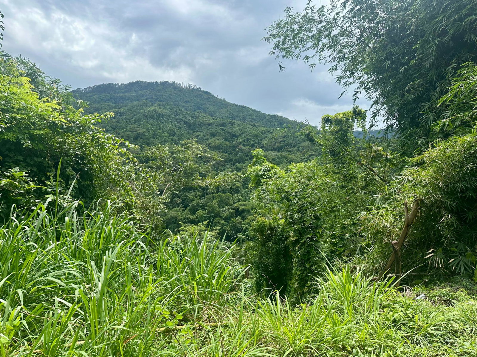Ninth image of 27c Fort George in Annotto Bay, St. Mary, Jamaica - property is For Sale
