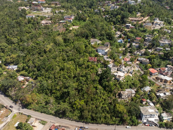 Tenth image of Burnside Mountain Red Hil in Red Hills, St. Andrew, Jamaica - property is For Sale