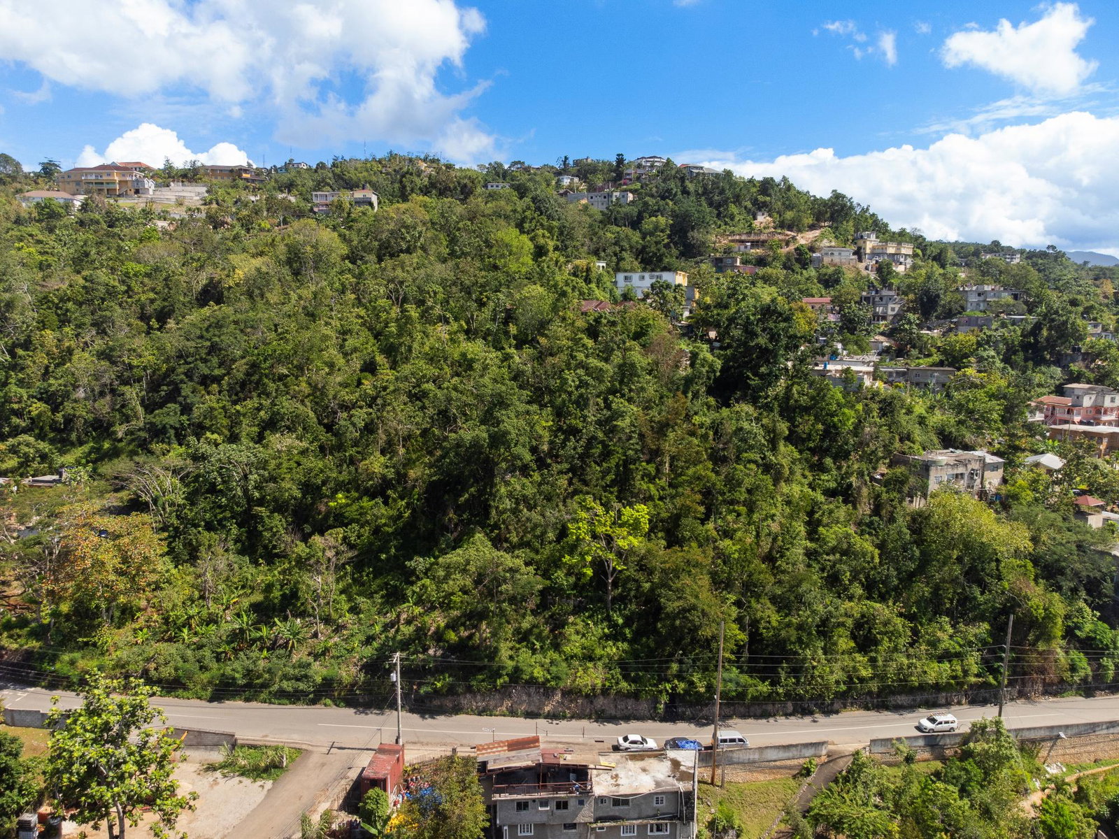 Eleventh image of Burnside Mountain Red Hil in Red Hills, St. Andrew, Jamaica - property is For Sale