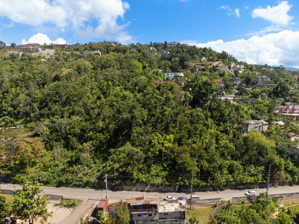 Eleventh image of Burnside Mountain Red Hil in Red Hills, St. Andrew, Jamaica - property is For Sale
