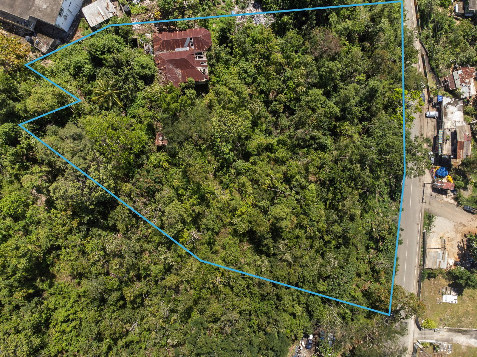 Seventh image of Burnside Mountain Red Hil in Red Hills, St. Andrew, Jamaica - property is For Sale