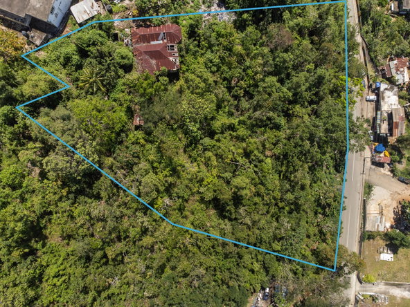 Seventh image of Burnside Mountain Red Hil in Red Hills, St. Andrew, Jamaica - property is For Sale