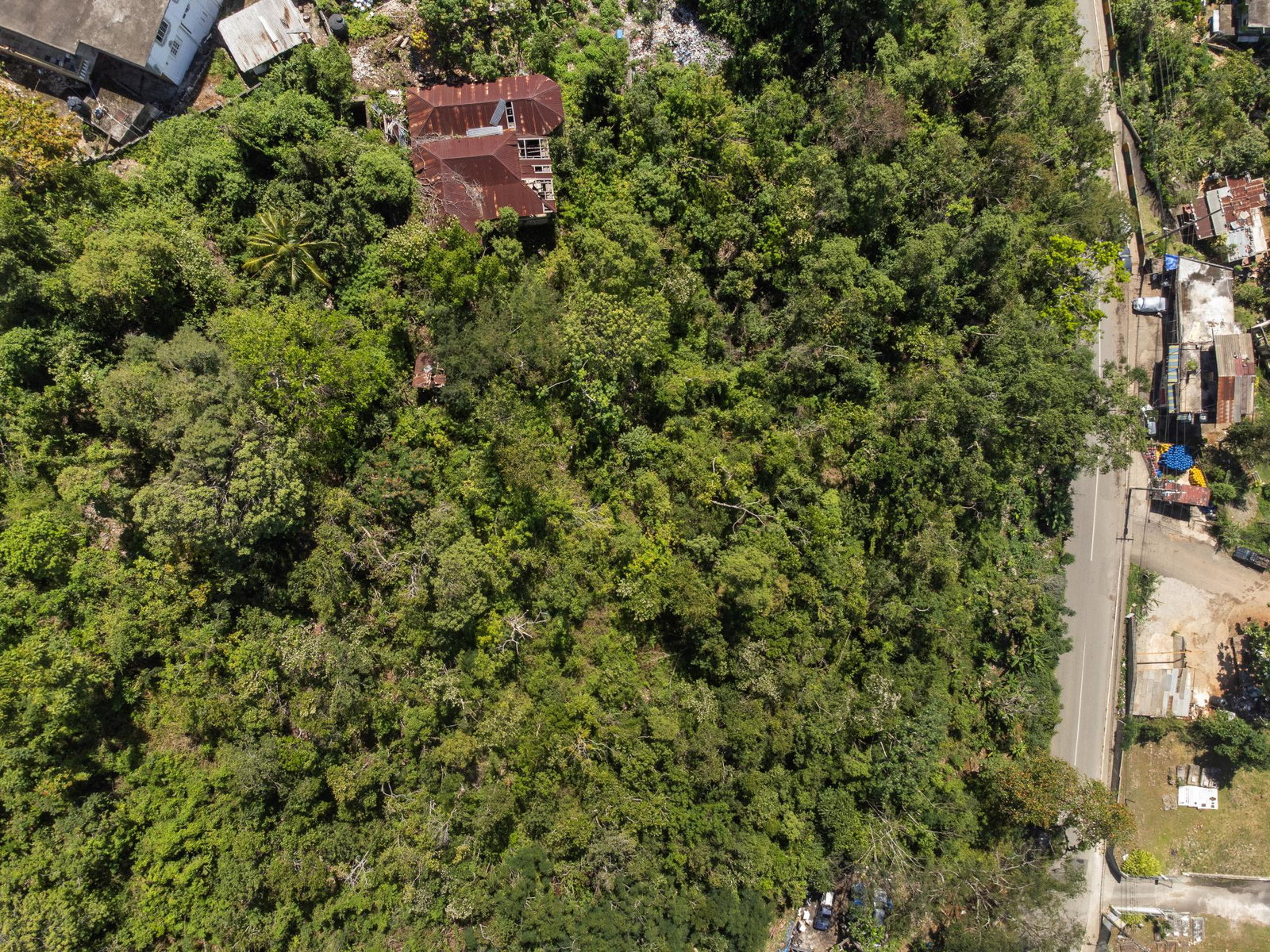 Eighth image of Burnside Mountain Red Hil in Red Hills, St. Andrew, Jamaica - property is For Sale