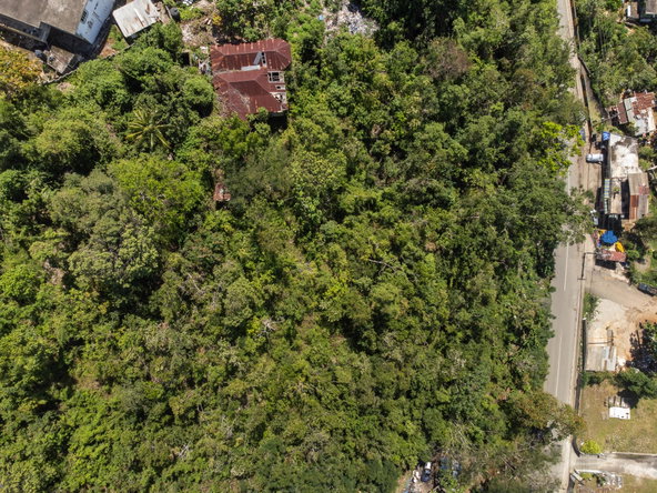 Eighth image of Burnside Mountain Red Hil in Red Hills, St. Andrew, Jamaica - property is For Sale