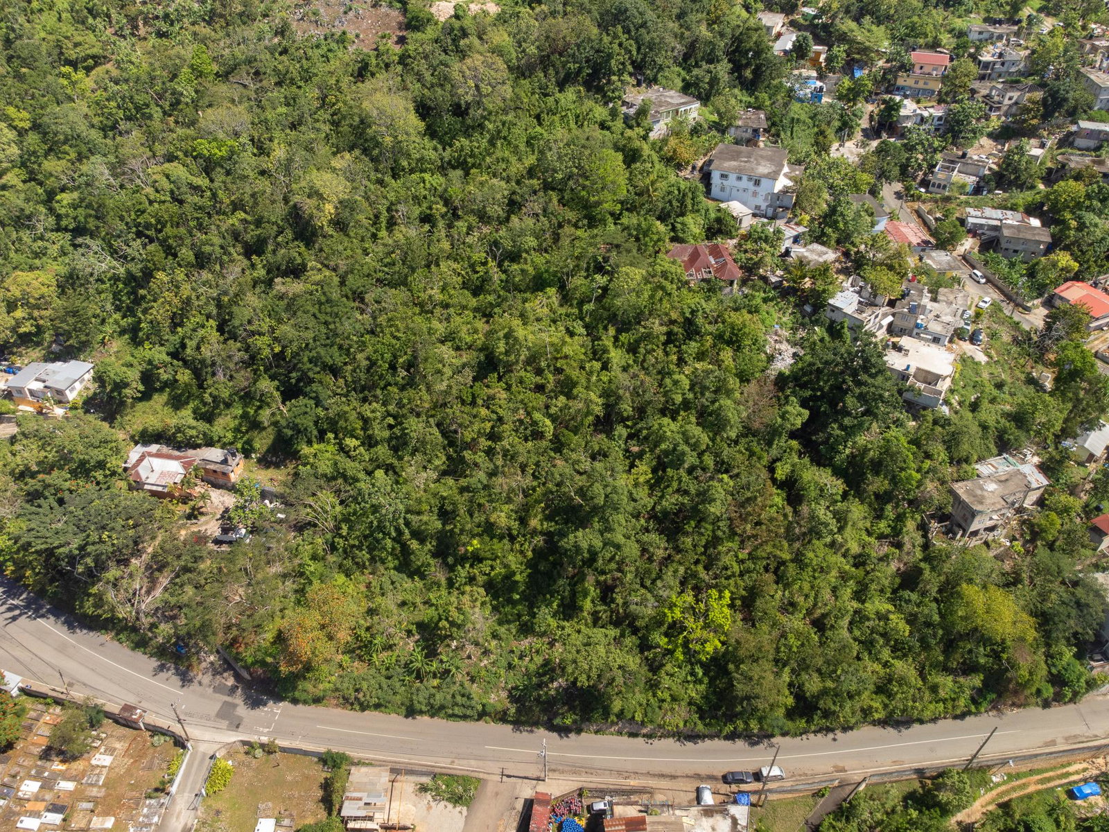 Ninth image of Burnside Mountain Red Hil in Red Hills, St. Andrew, Jamaica - property is For Sale