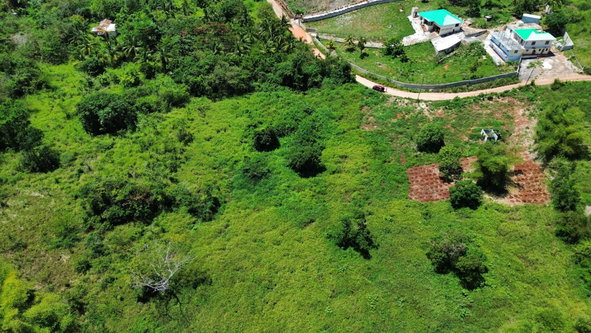 Eighth image of Morningside in Junction, St. Elizabeth, Jamaica - property is For Sale