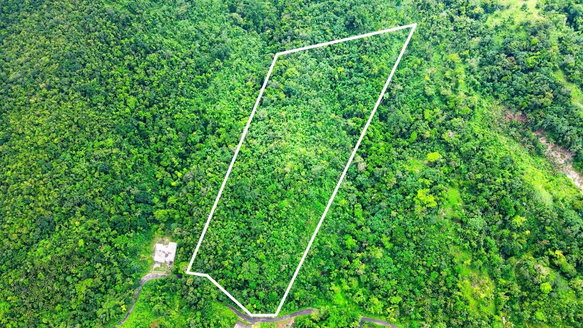 First image of Craig Mill, Buff Bay Port in Craigmill, Portland, Jamaica - property is For Sale