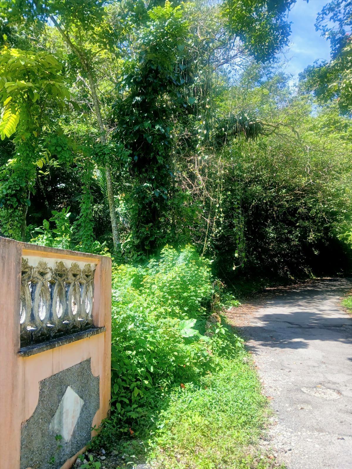 Tenth image of Craig Mill, Buff Bay Port in Craigmill, Portland, Jamaica - property is For Sale