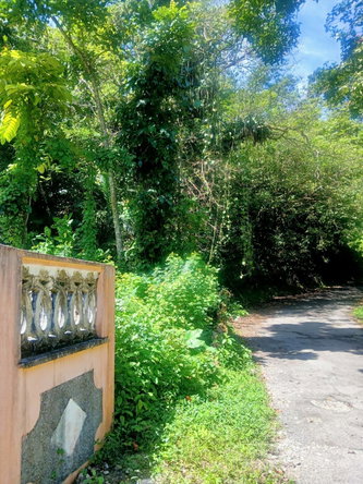 Tenth image of Craig Mill, Buff Bay Port in Craigmill, Portland, Jamaica - property is For Sale