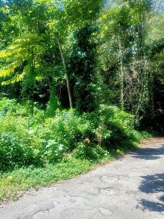 Eleventh image of Craig Mill, Buff Bay Port in Craigmill, Portland, Jamaica - property is For Sale