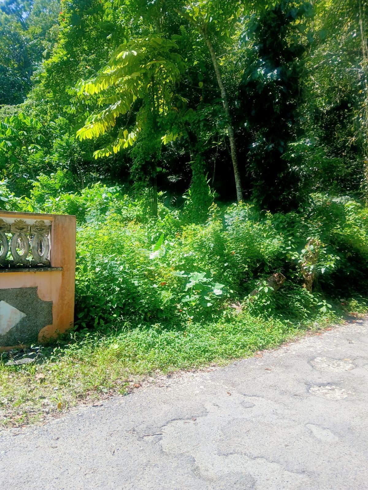 Twelfth image of Craig Mill, Buff Bay Port in Craigmill, Portland, Jamaica - property is For Sale