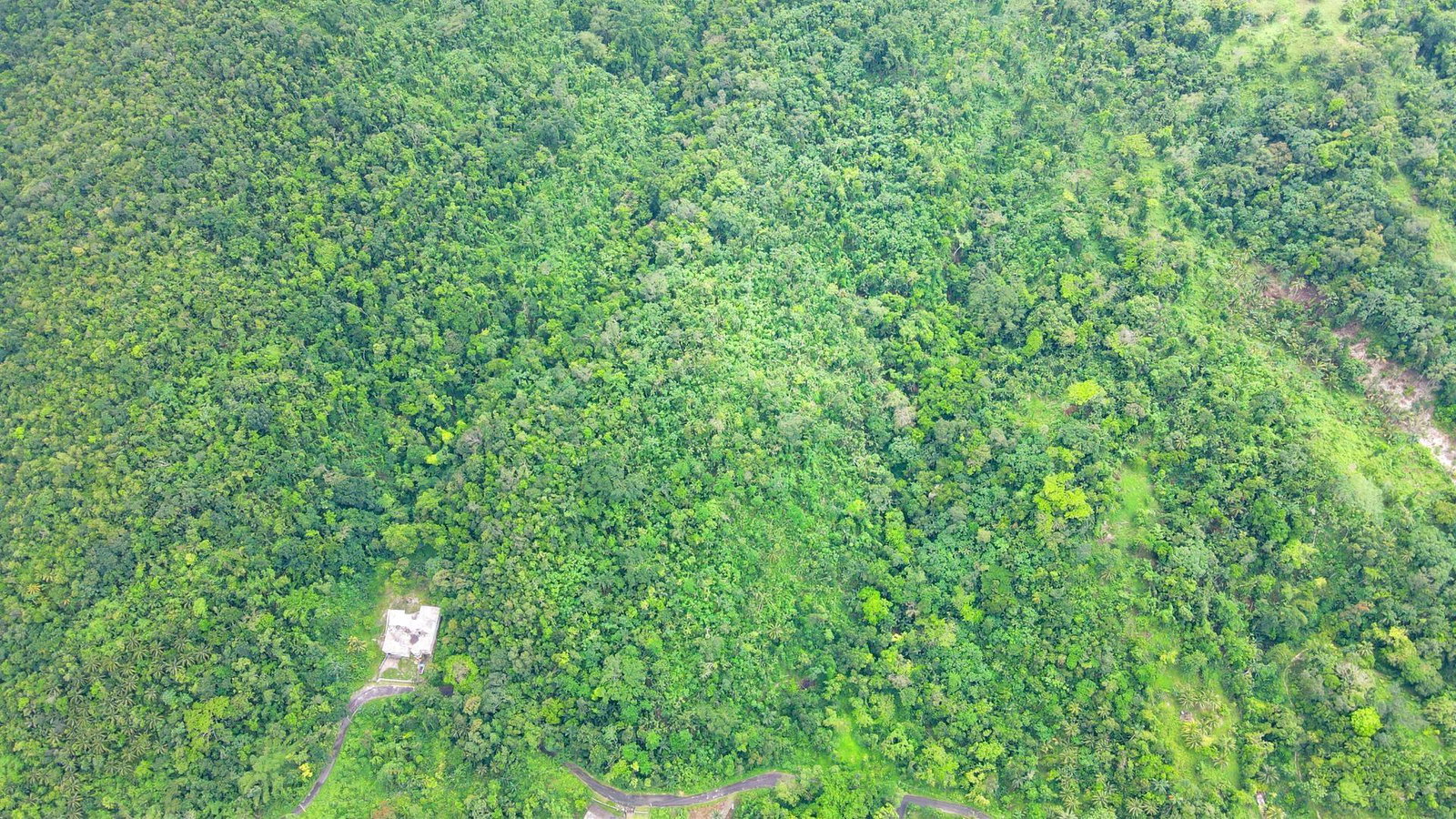 Second image of Craig Mill, Buff Bay Port in Craigmill, Portland, Jamaica - property is For Sale