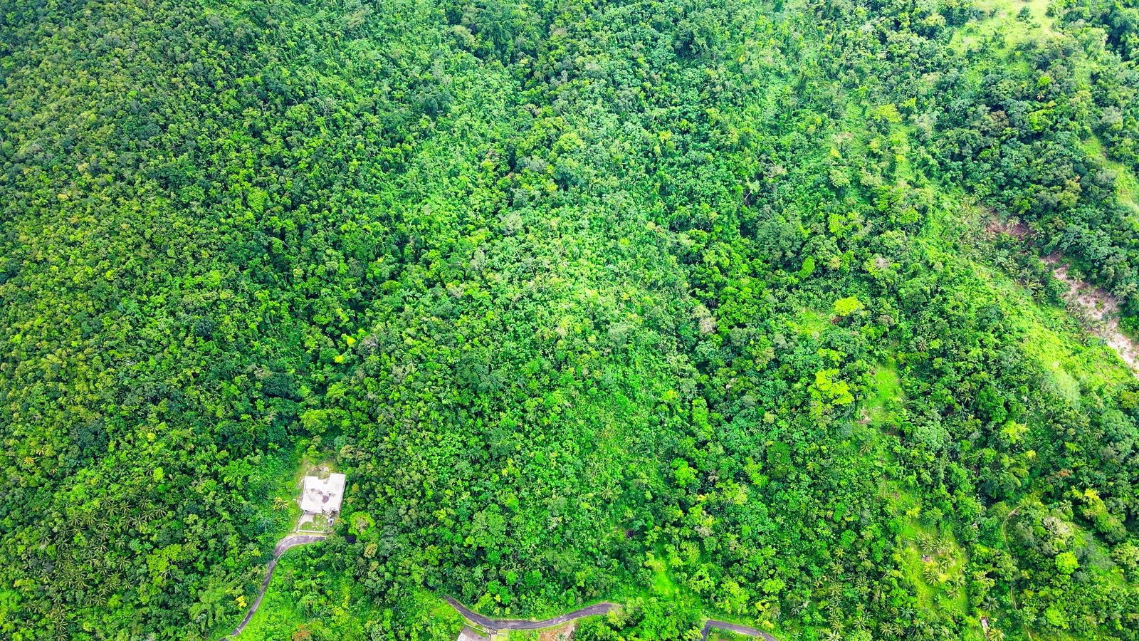 Third image of Craig Mill, Buff Bay Port in Craigmill, Portland, Jamaica - property is For Sale